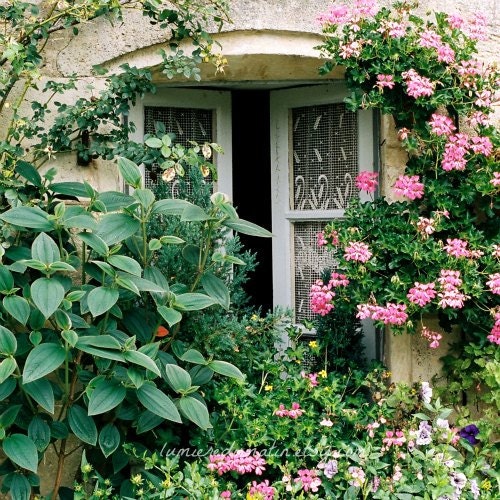 Cottage chic French window green emerald - Luscious - fine art analog print 8 x 8