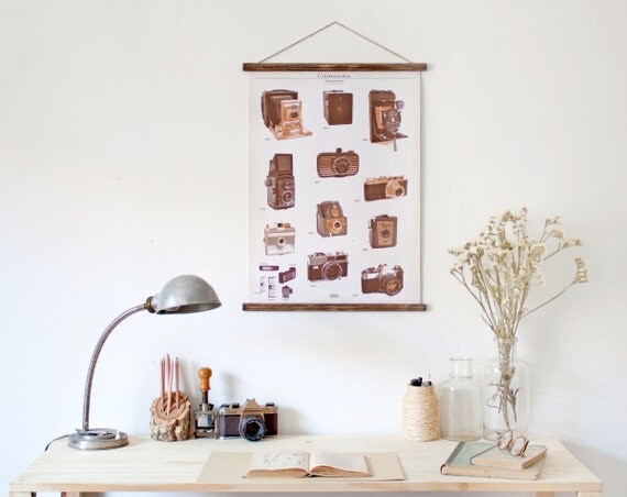 Photography cameras - timeline canvas poster - vintage educational chart illustration CAP2004