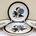 Retro 70s Plates Blue Flowers Brown Leaves