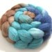 BFL Silk Wool Top (Roving) - Spinning / Felting Fiber 4 oz. - Home on the Range