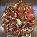 Deluxe Deco Mesh Bronze and Copper STRIPED Wreath with a large Sparkle FALL FLOWER