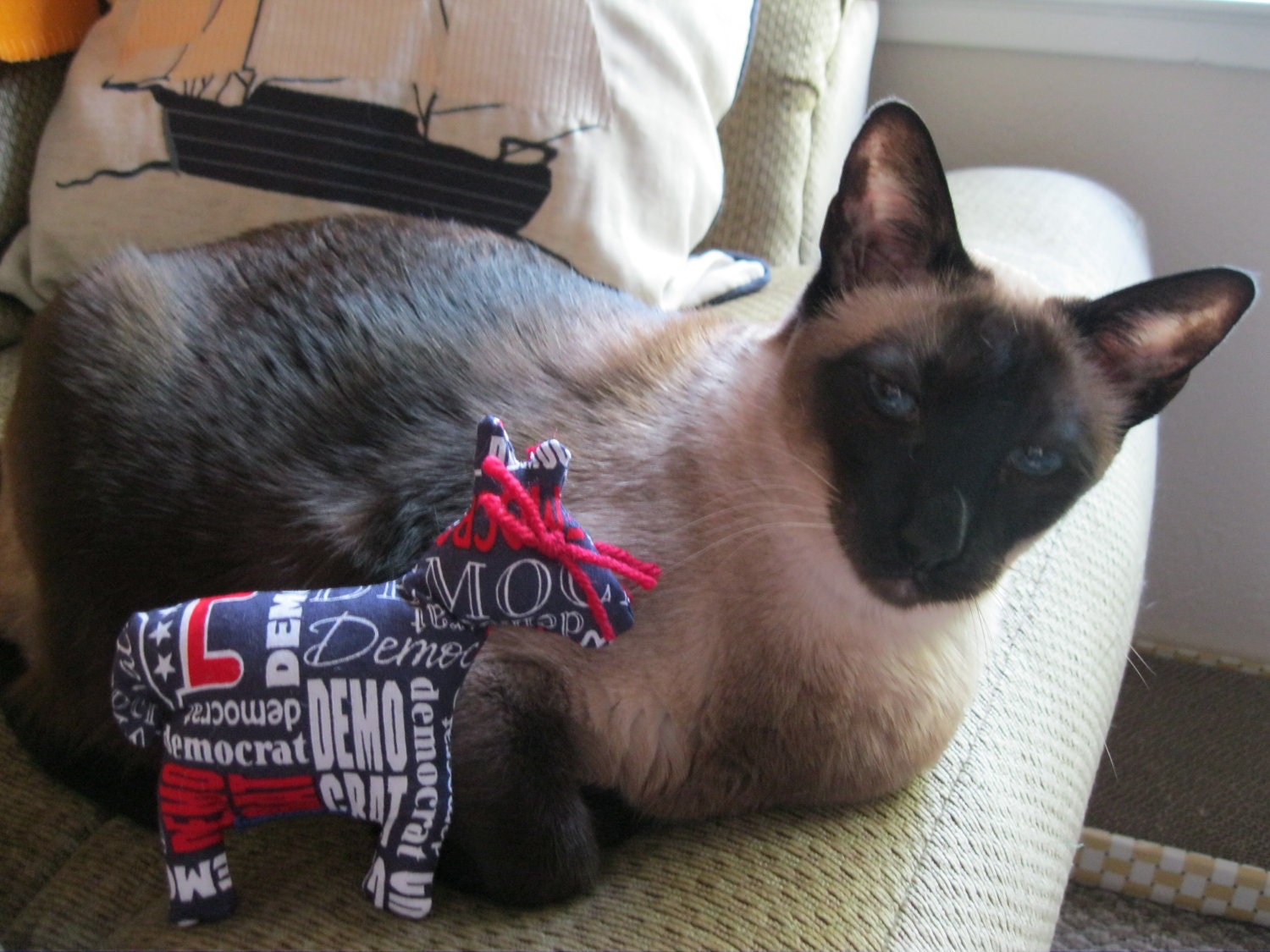 Democrat Donkey Catnip Toy