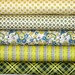 SALE Chicopee Fabric Bundle 5 Fat Quarters Denyse Schmidt for Free Spirit Fabrics