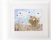 Rustic Landscape Photography 8x10 straw yellow harvest gold fall autumn golden French Country Home decor art for kitchen