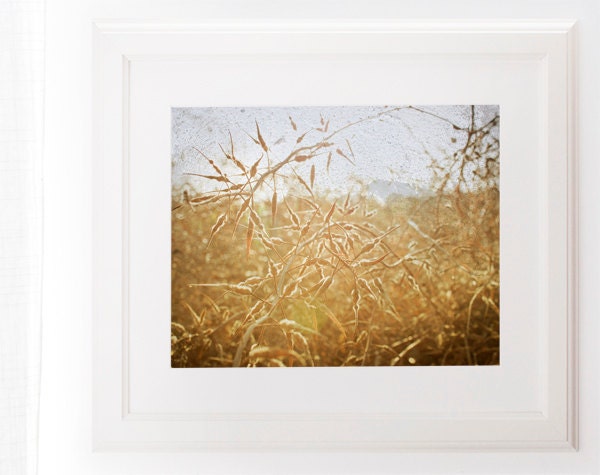 Golden Landscape Photograph - Rustic Nature Photo 8x10 Field Home Decor gold harvest hay art for kitchen