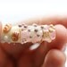 Handmade Lampwork glass bead in pink, violet and beige - beach, starfish, whimsical- glass focal, SRA, by MayaHoney