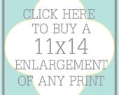 11X14 Personalized Birth Stats Print (Click Here to Buy Any Print in 11x14)