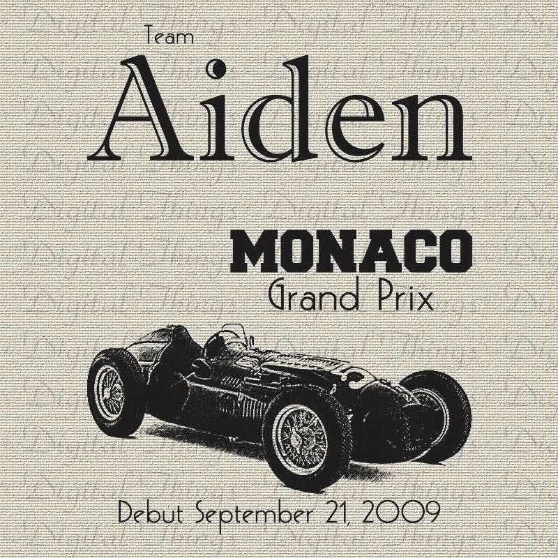 Sports Race Car Personalized Nursery Baby Decor Art Birth Announcement Print Digital Download for Fabric Iron on Transfer DT134