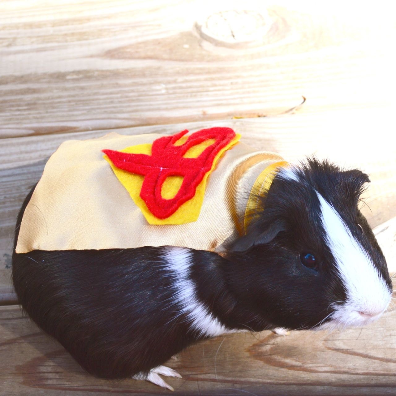 Guinea pig cape. Pet Halloween costumes by la Marmota Café.