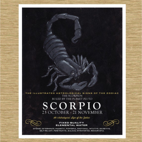 Illustrated Zodiac Scorpio the Scorpion 8" x 10"