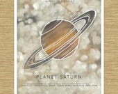 Saturn the Ringed Planet - Heavenly Bodies Series 11" x 14"