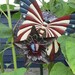 Stars and Stripes Rustic and Patriotic