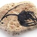 Zen Drawing, Home decor, Painted Rock, Meditation Stone, Painted Flower Bud in Black Ink, Nature Inspired, Healing Energy TAGT