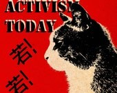Meow-Meow
