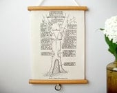 Mini Printed Fabric Vintage Style School Science Chart with Wood Trim - How to Doctor a Tree (9" x 12")