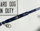 Blue Leather dog collar with Turquoise Concho and Rivets. Handmade Custom. Any Size or Color
