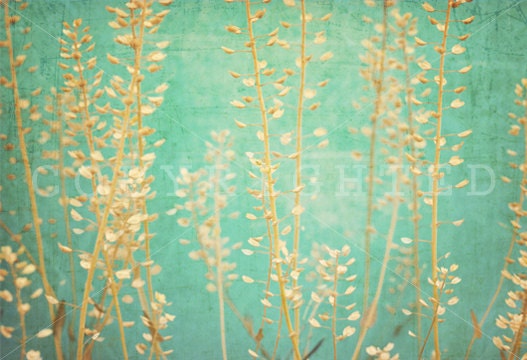 vintage straw/weed teal and gold color print (5x7)