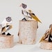 Pack of three origami Birds with pattern print, packed, Mustrard, Grey, Apricot