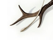 Antler Hair Stick Hair Pin Deer Horn Tribal Hair Fork Deer Antler Carving Hairpin Hair Accessory MariyaArts - mariya4woodcarving