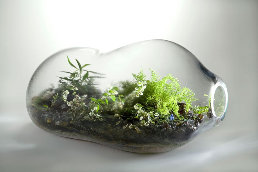 Blown Glass Terrarium Succulents
