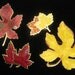 RESERVED until 9/22/12 for KR Lot of 4 Vintage Fall Leaf Brooches Enameled in Yellow, Orange, Red, in Varied Sizes, Designs, and Condition