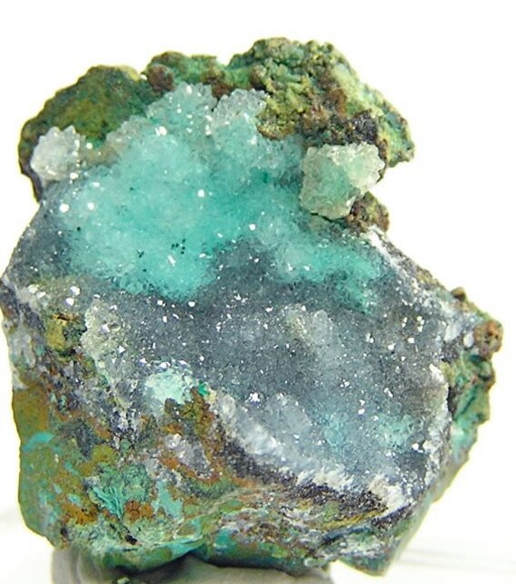 Druzy Drusy Chrysocolla Natural Mineral Specimen by FenderMinerals