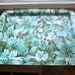 Vintage Mid century Standing Tray in Dusk Blue Floral- Bed in breakfast, T.V. Tray