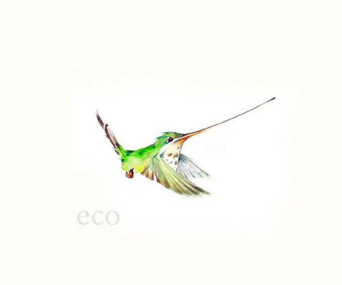 8x10 inch PRINT from the ORiGINAL Hummingbird watercolor  painting