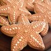 Delicate Starfish Cookies