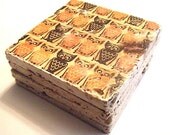 Orange and Black Owl Coaster Set of four