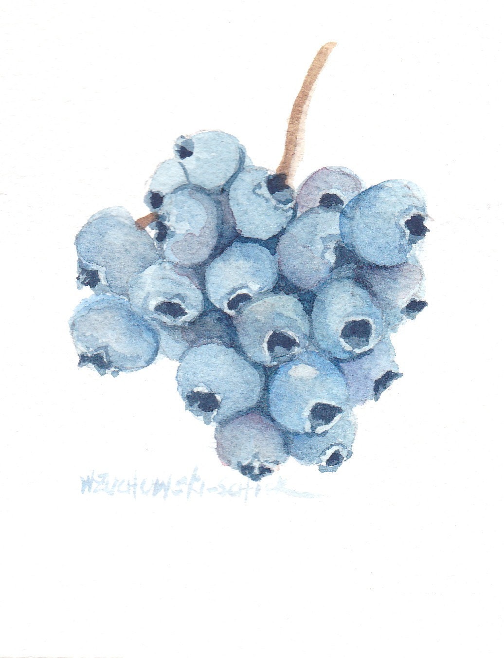 Blueberry Group Original Watercolor by Wanda's Watercolors