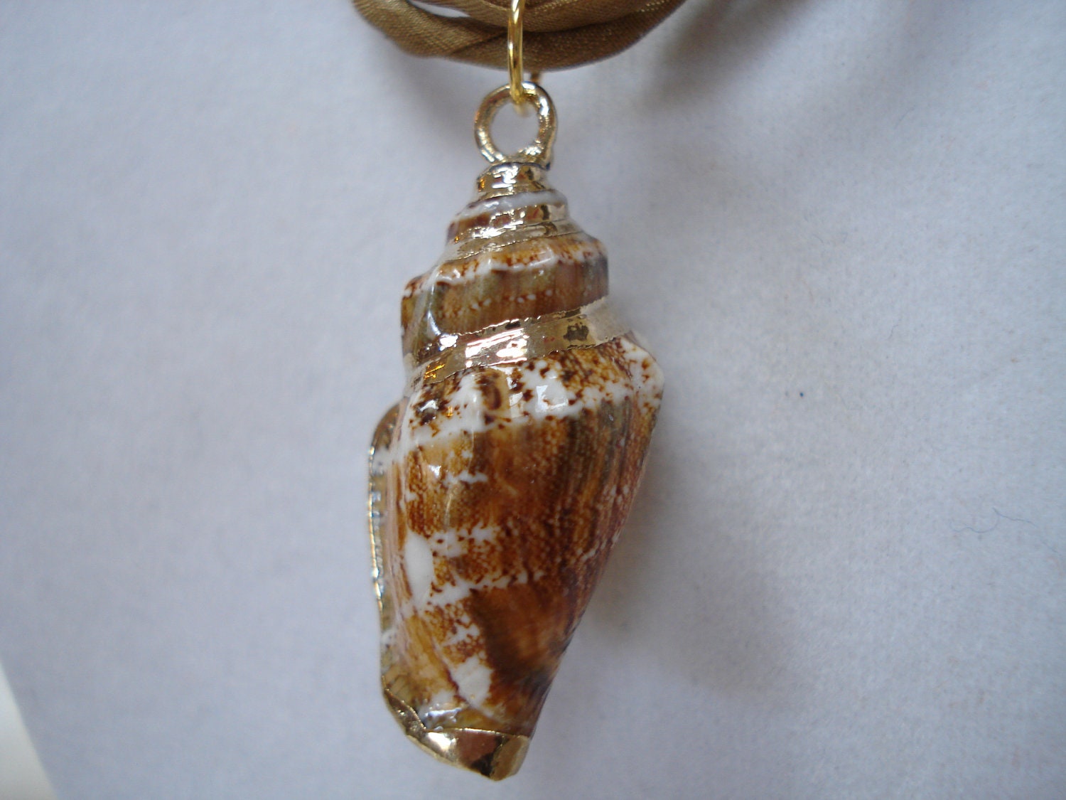 Sea Shell Necklace with gold accents
