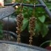 Golden Woodland Wisteria Flower Dangle Earrings