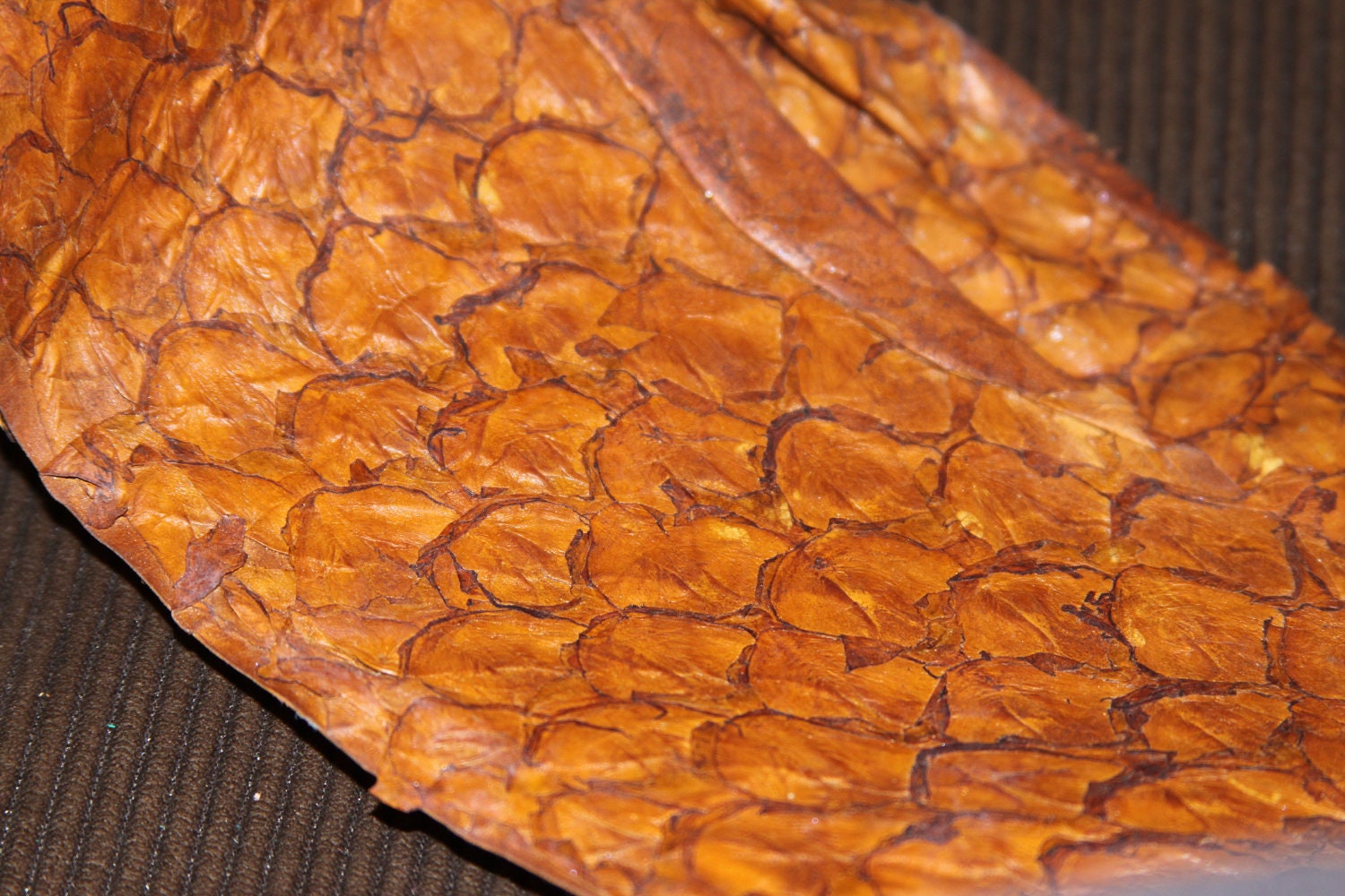 Antique Brown Glazed Fish Skin-  Exotic, Recycled Leather Hide, great for Bookbinding, Journals, Jewelry
