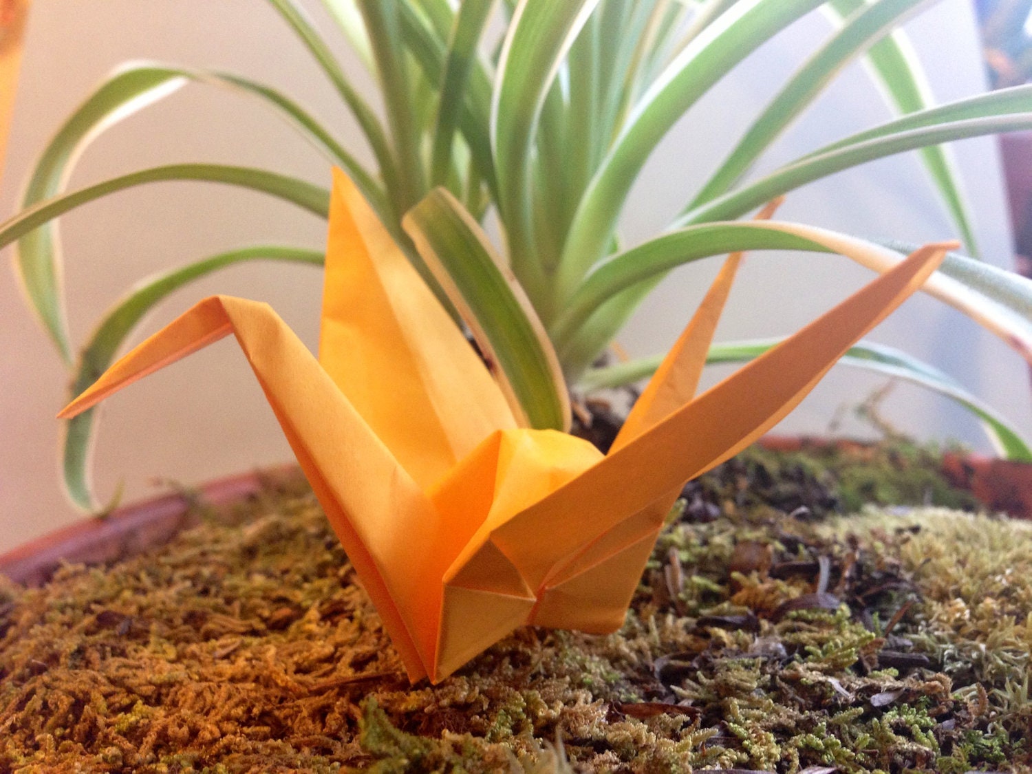 12 Paper Cranes (12 Single/ Stand alone)