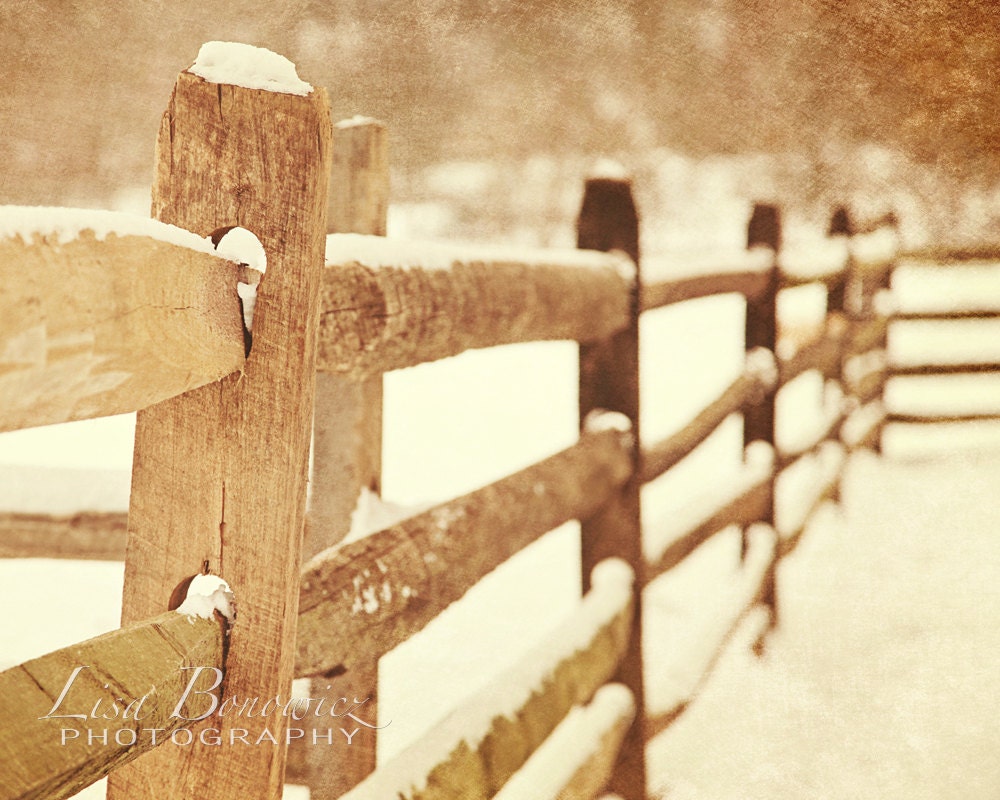 Snow Fence by LisaBonowiczPhotos