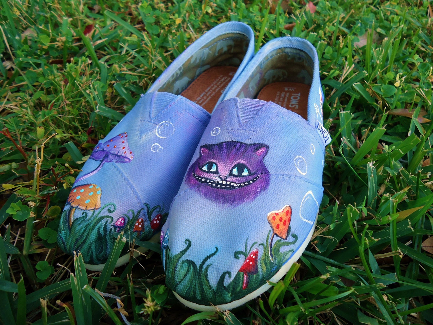 Alice in Wonderland TOMS