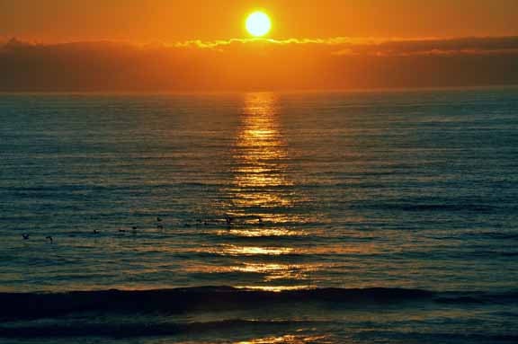 Ocean Sunset Blue Orange Beach Seagulls Water Sand Home Decor Fine Art Print 8x12 "Serenity"