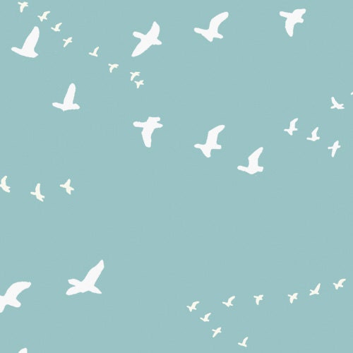 Camp Modern by Jay-Cyn Designs for Birch Fabrics - FLIGHT MINERAL - Half Yard
