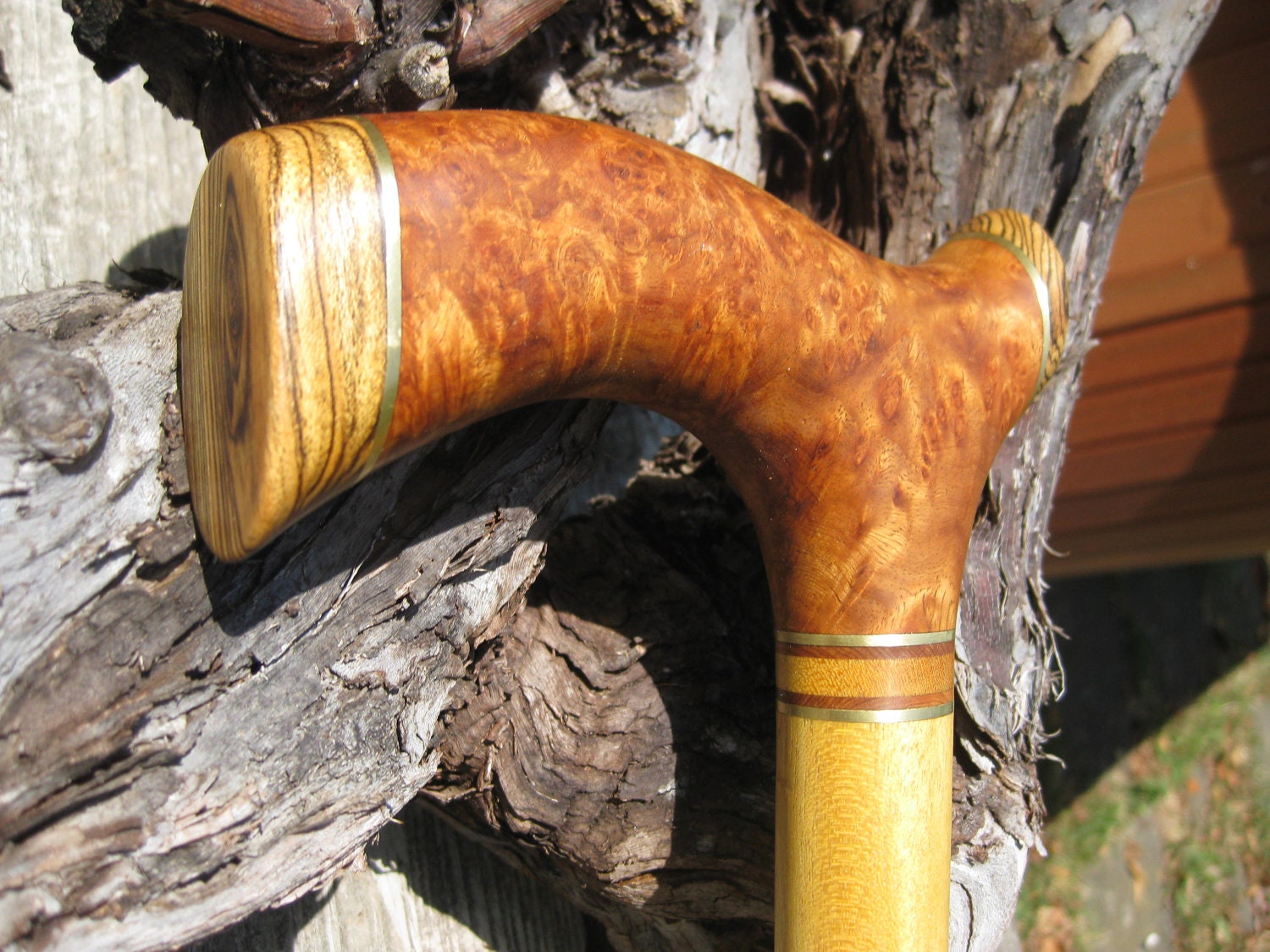 Gentlemen's Exotic Wood Walking Cane Wood Cane by gammamike