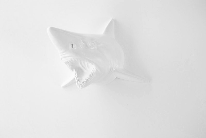 White Faux Taxidermy - The Moffat - White Resin Shark Head- Shark Resin White Faux Taxidermy- Chic & Trendy