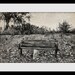 Beach Bench Photo,  Black and White, Old,Wooden,Weathered,Worn, Wall Decor
