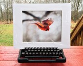 11x14 mat with any 8x10 print