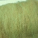 olive GREEN, Carded Sheep WOOL batt, ROVING, felting, spinning