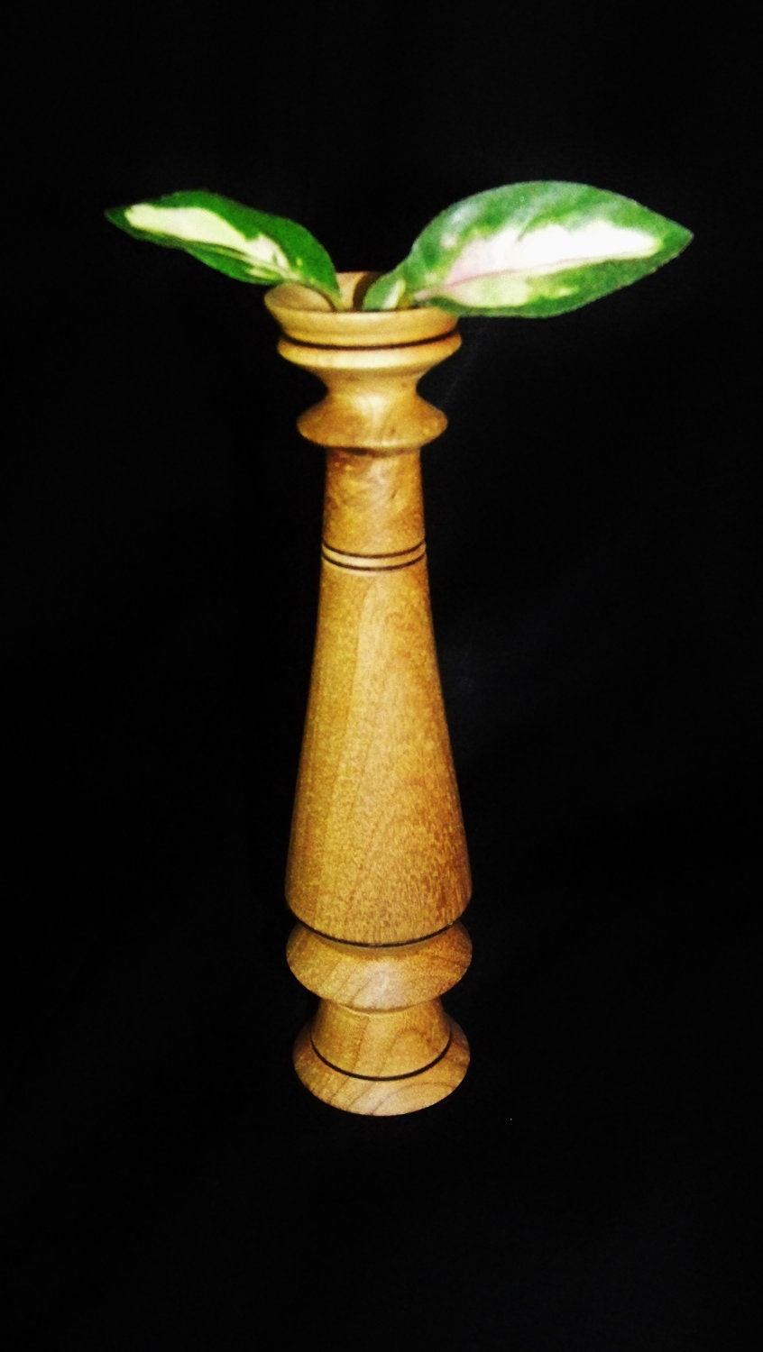 Dry Flower Vase