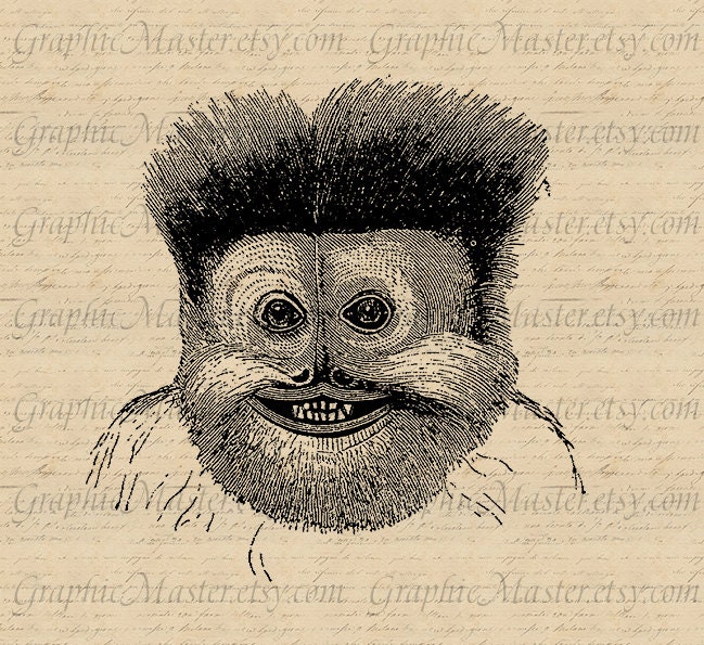 Little Monkey Animals Printable Graphics Digital Collage Sheet Image Download Iron on Transfer Fabric Paper Pillows Tote Tea Towels An8