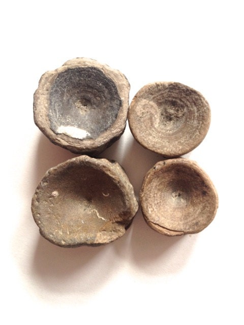 Fossil shark vertebrae, vertebra, fossil bone, sharks, jewellery and craft supplies