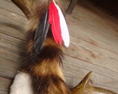 Raccoon Tail Keychain with Feather Accent