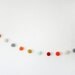 RESEVED for Hannah Rainbow Yarn Pom Pom Garland