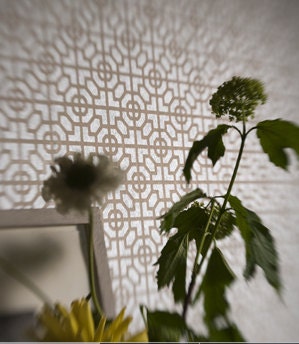 One double roll Designers Guild "Sussex" wallpaper, from the Nabucco collection. Made in the U.K.